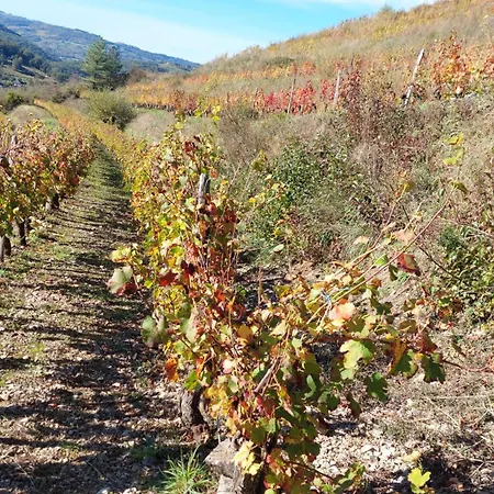 Maison Avec Magnifique Vue Et Piscine Privative Saint-Félix-de-Lunel