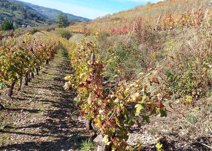 Maison Avec Magnifique Vue Et Piscine Privative Saint-Félix-de-Lunel